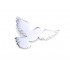 Ascending Dove of Peace
